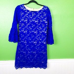 Eliza J Royal Blue Short Lace Bell Sleeve Dress Size 6